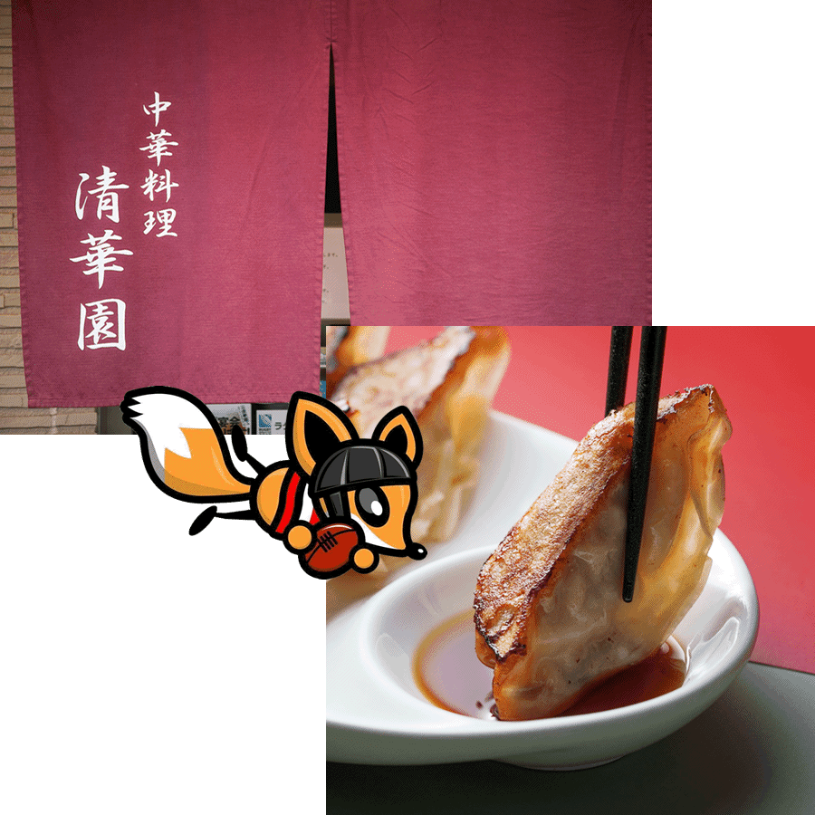 京都 餃子居酒屋 清華園ののれんと餃子