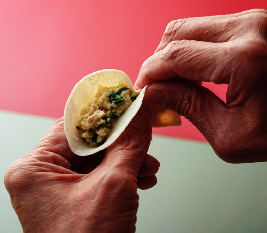 餃子の餡を包む